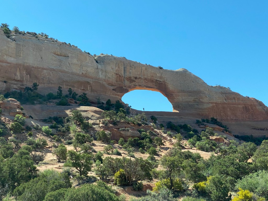 an arch of peachy/tan rock on a hill with shrubs, light blue sky. Tiny person under it in the distance
.