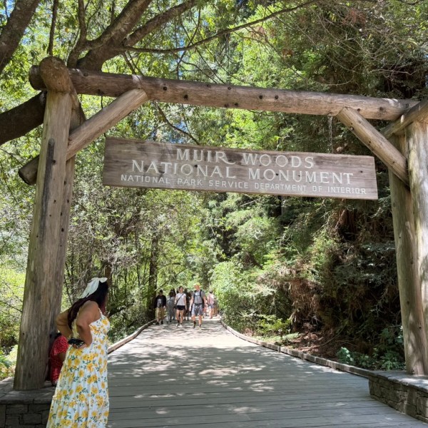 Muir Woods
